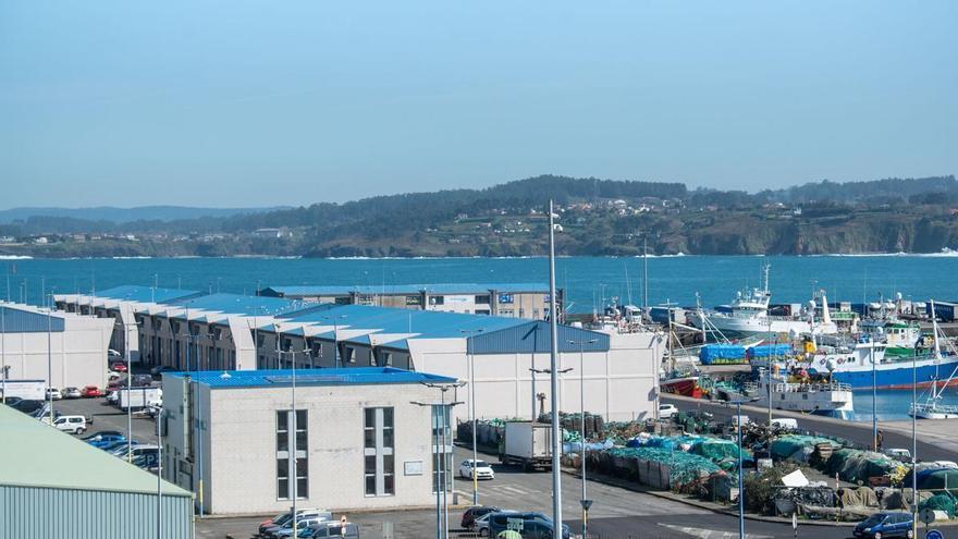 Cinco visiones compiten por diseñar el futuro de los muelles con la lupa en A Coruña: "No se trata de aterrizar en helicóptero desde Madrid"