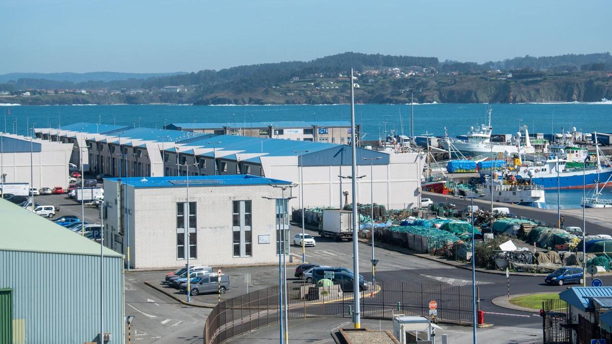 Cinco visiones compiten por diseñar el futuro de los muelles con la lupa en A Coruña: "No se trata de aterrizar en helicóptero desde Madrid"