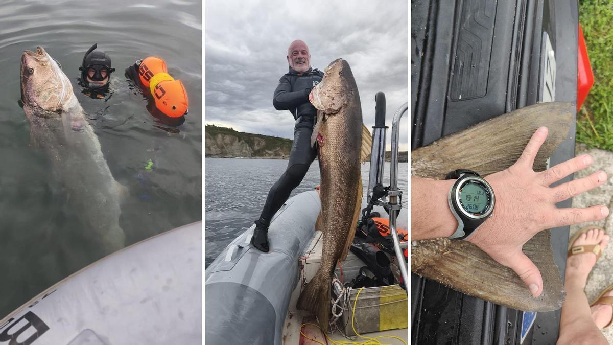 La hazaña de pesca de un submarinista gijonés: captura una corvina de 35 kilos y casi 1,80 metros de longitud