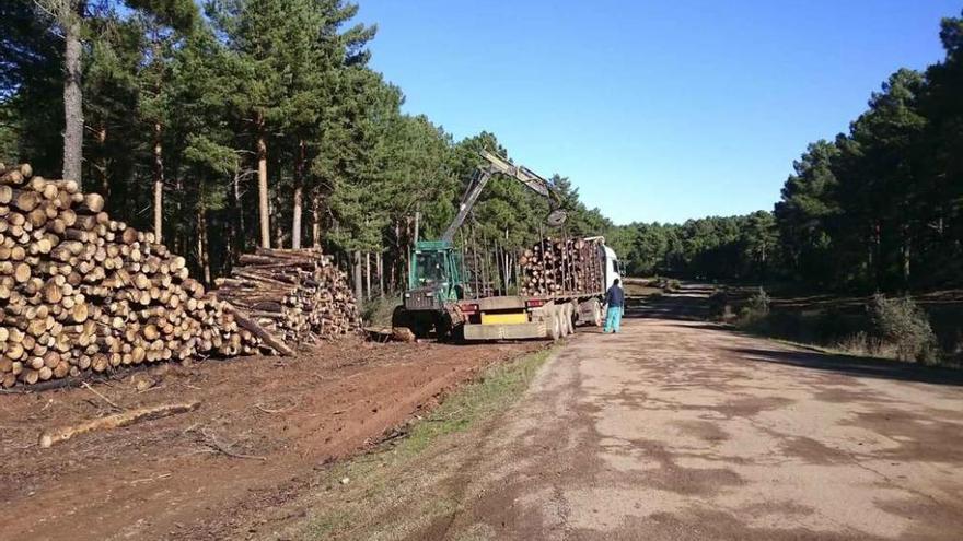 Un camión cargado de madera se incorpora a la carretera de San Mamed, cubierta de barro.