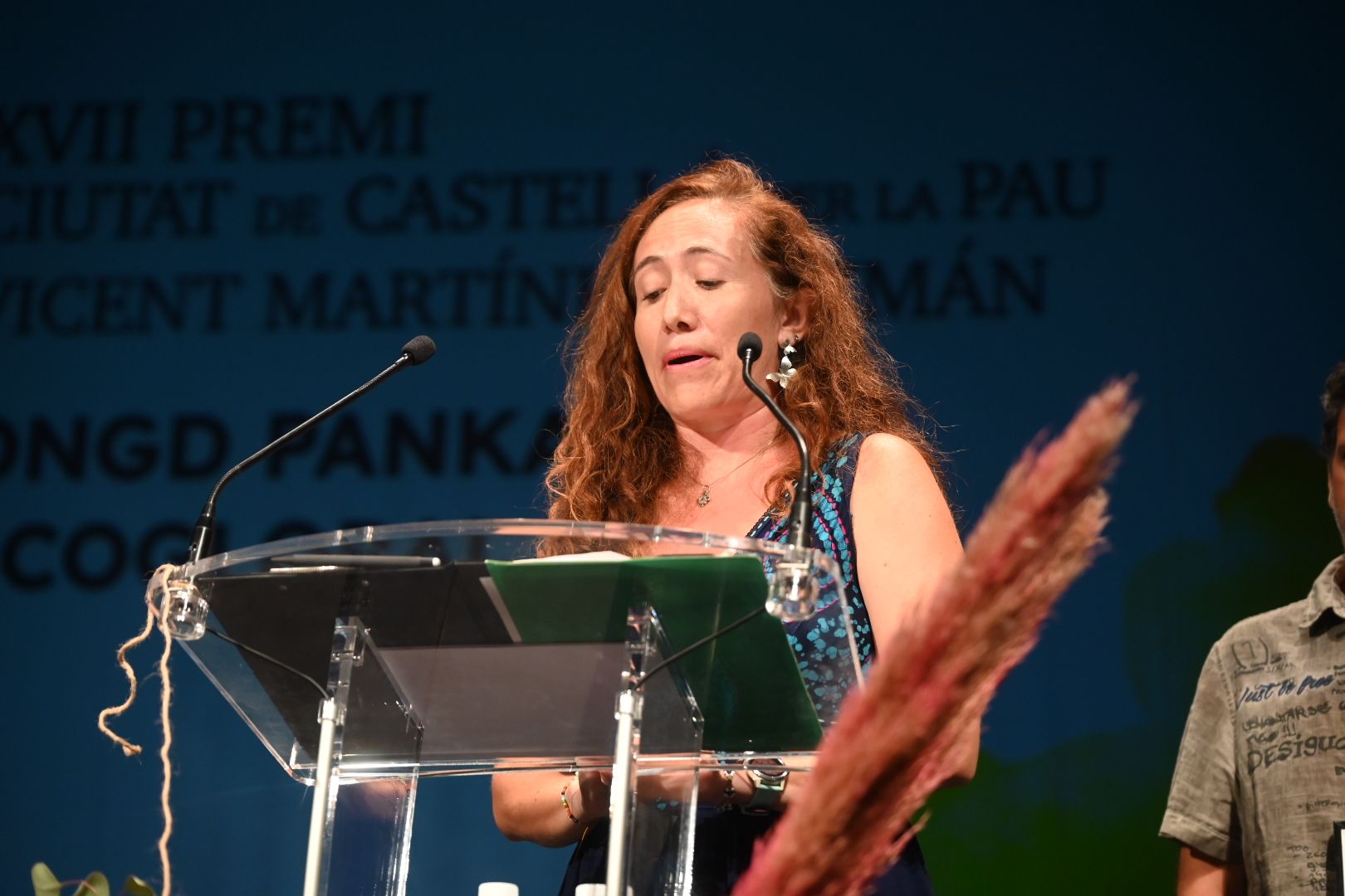 Las mejores imágenes de los premios Ciutat de Castelló