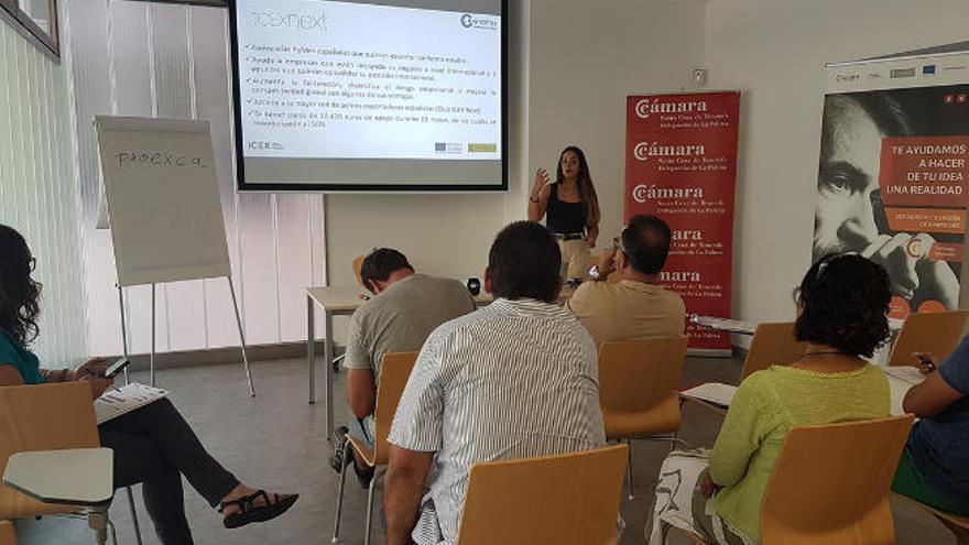 Un momento de la jornada con las bodegas palmeras.