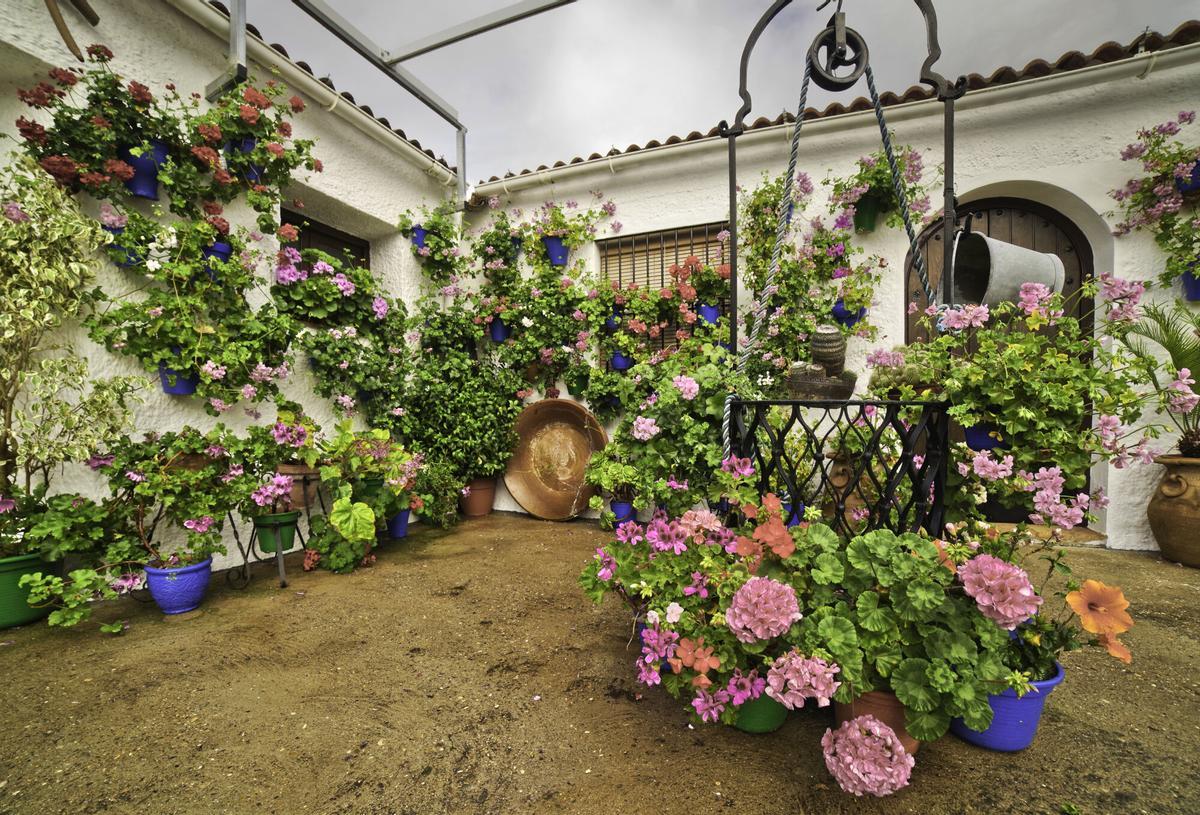 Uno de los patios de la provincia que participan en el concurso de la Diputación de Córdoba.