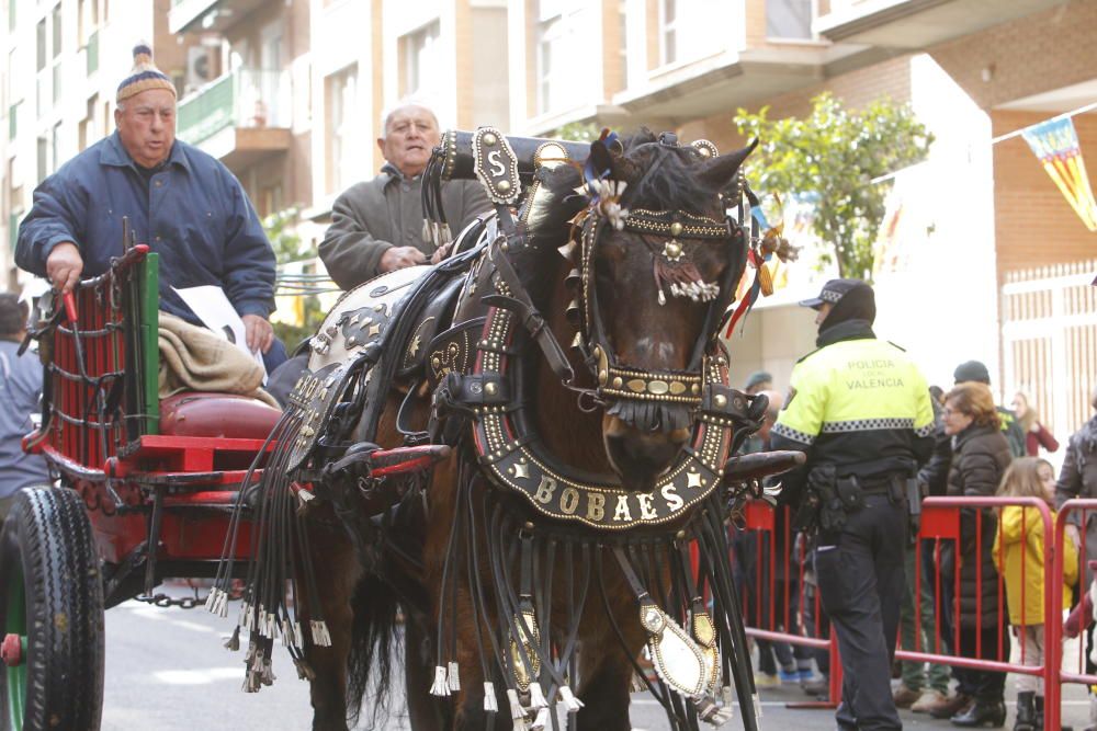 Sant Antoni en Valencia 2017