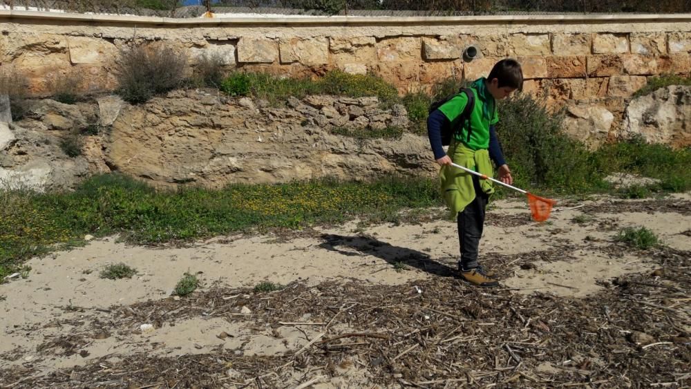 Actividad contra la contaminación en Palma de los Scouts Es Fortí