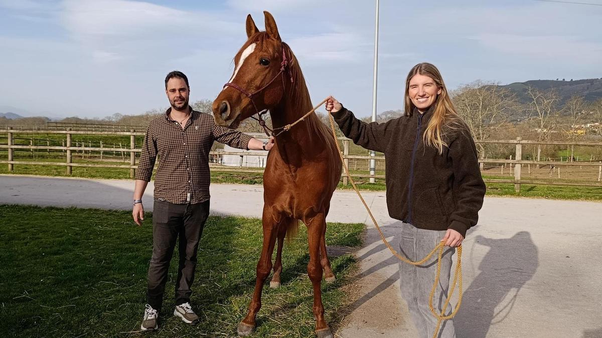 "Egipto", el súper caballo de Siero que exporta genética a toda España y a Europa: "Hay mucha demanda de propietarios de yeguas, gente con reserva"