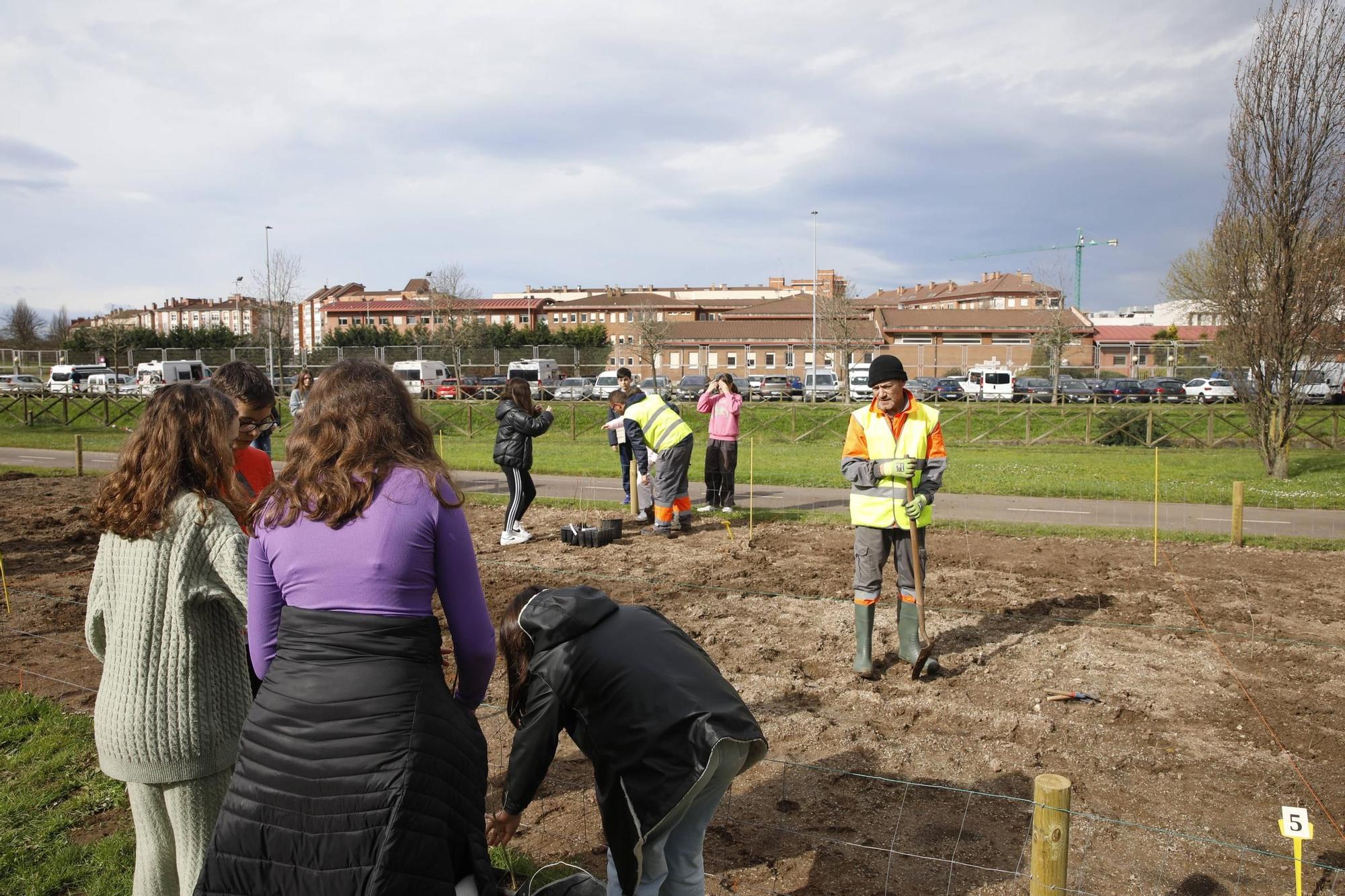 El secretario de Estado Hugo Morán participa en la plantación de minibosques en Gijón (en imágenes)