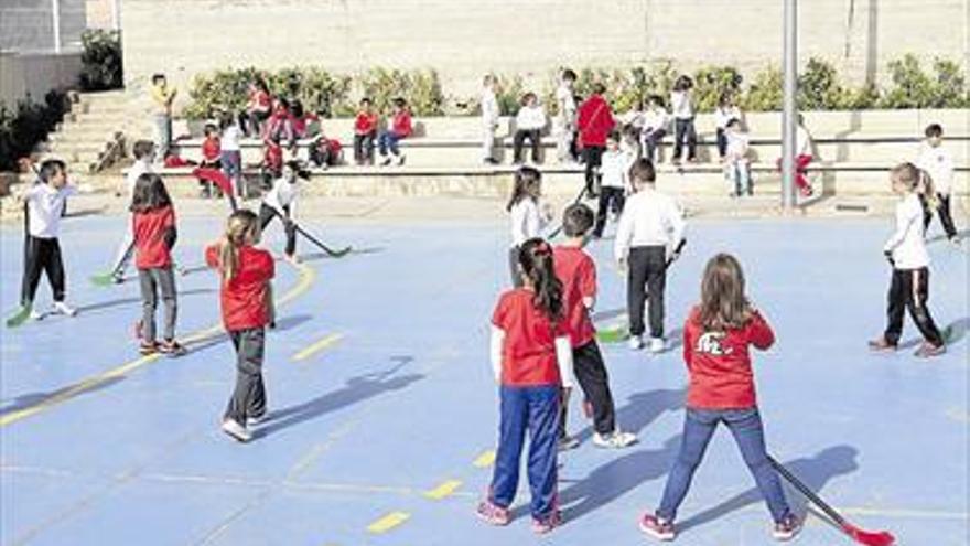 ÉXITO DEL DÍA MUNDIAL DE LA ACTIVIDAD FÍSICA