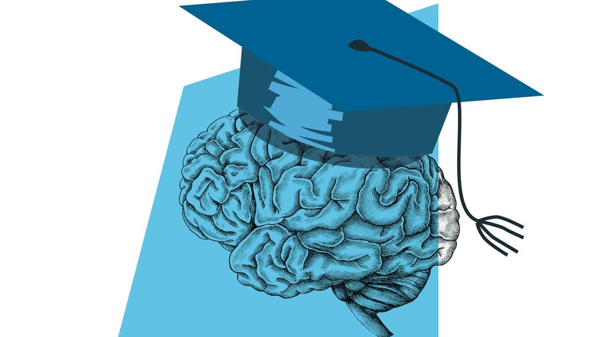 Ilustracion universidad