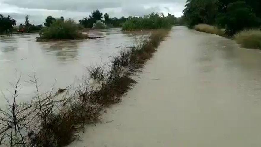 El Segura comienza a desbordarse por Rincón de Seca