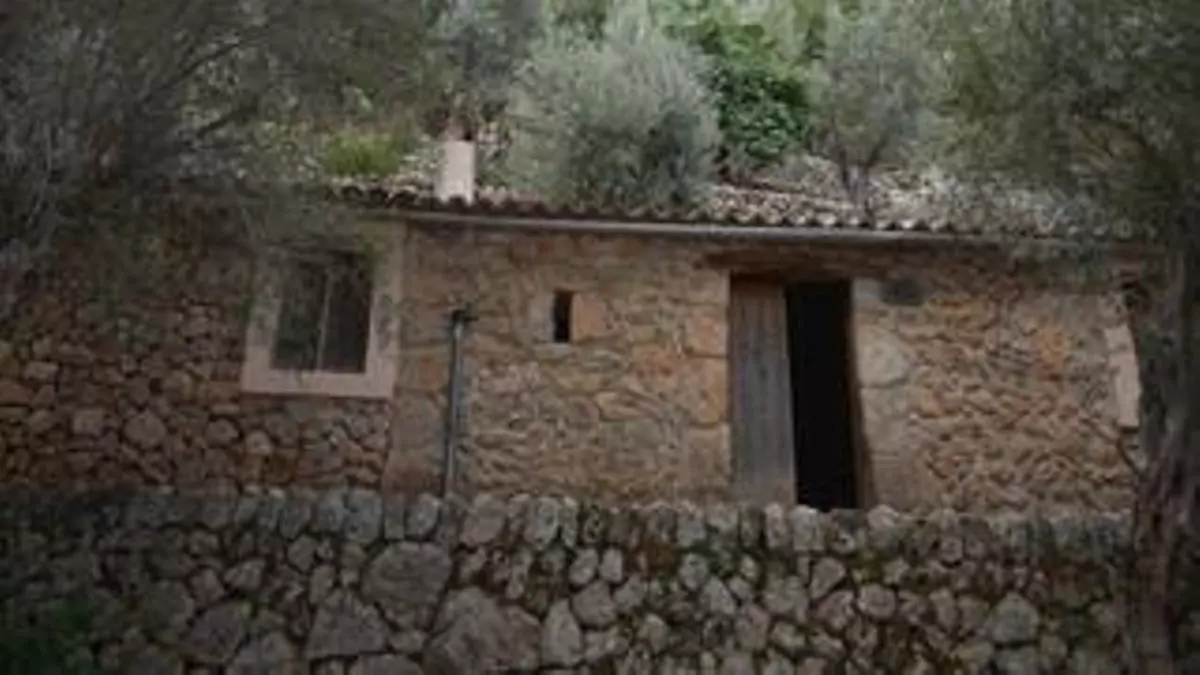 Ley de la Serra de Tramuntana: se agiliza la rehabilitación de los ‘porxos’ de olivar
