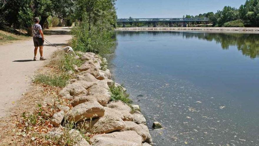 Usuarios del paseo de Los Tres Árboles denuncian el vertido de aguas fecales al río