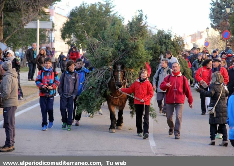 GALERÍA DE FOTOS -- Sant Antoni en la comarca de Els Ports