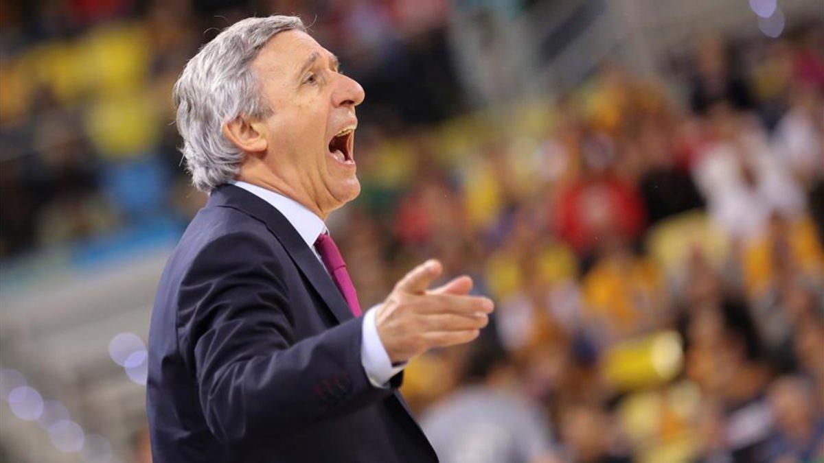 Pesic, durante el partido ante el Gran Canaria