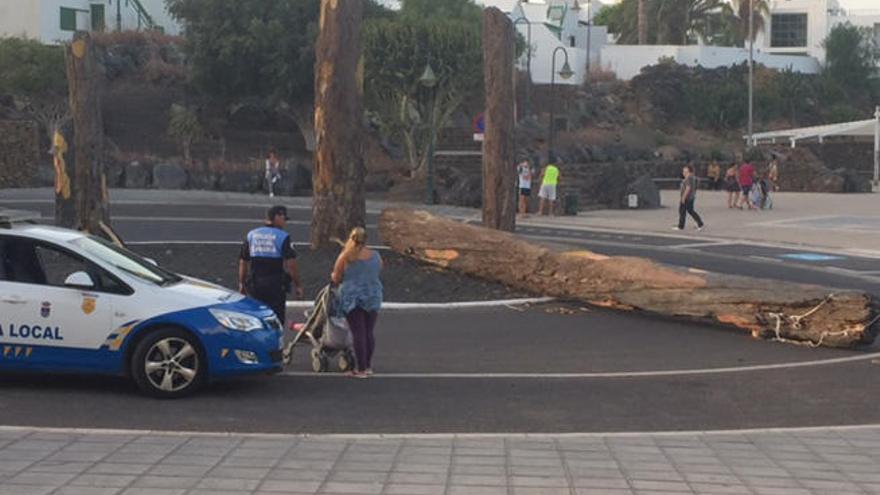 En la foto, la mujer y el bebé que paseaban en la calle Las Olas cuando se produjo el incidente.