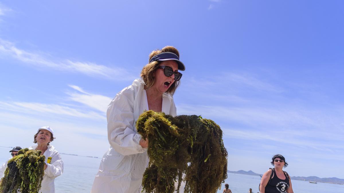 Varias voluntarias recogen algas en la Playa del Espejo de Los Alcázares.