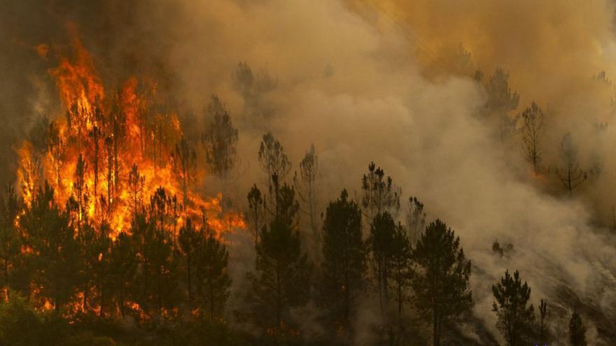 Uno de los incendios forestales sufridos en Maceda en el mes de agosto.