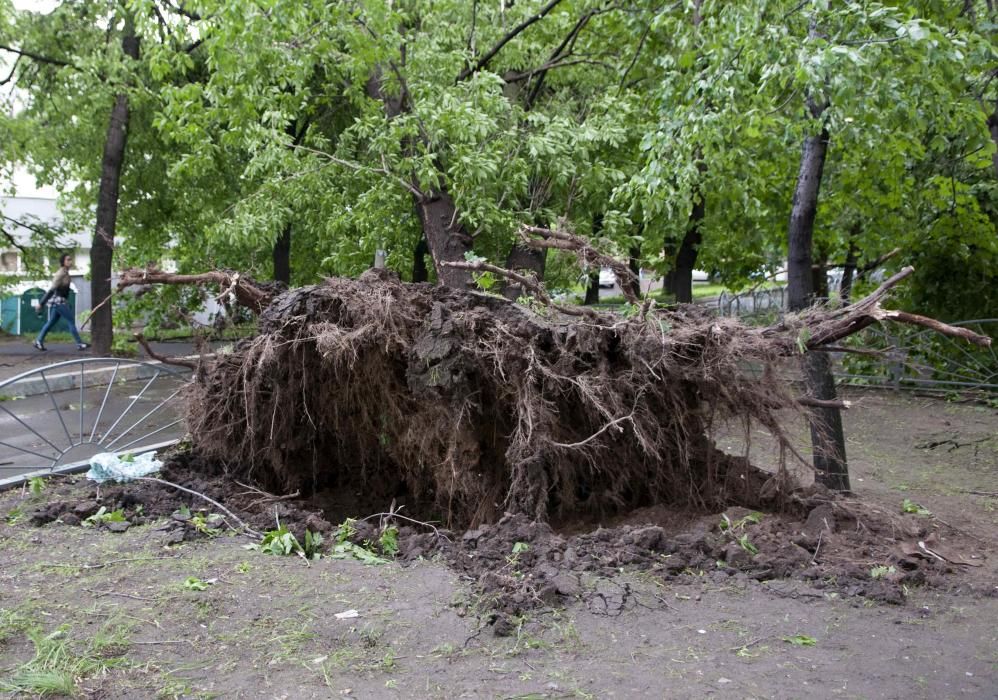 Un fuerte temporal de lluvia y vientos huracanados causó hoy la muerte de al menos once personas en Moscú, casi todos por caídas de árboles.