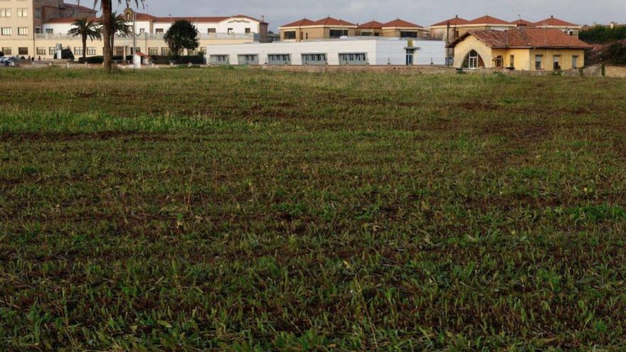 Entorno de la futura playa verde del Rinconín. | MARCOS LEÓN