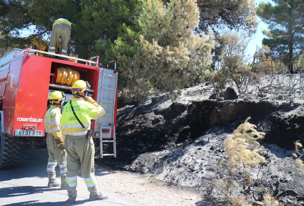 El desolador paisaje de la Calderona tras el incendio