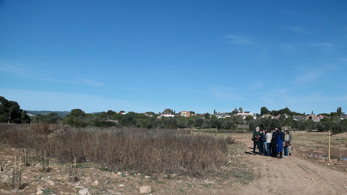 La consellera de Territori, Sílvia Paneque, en una visita a la zona de les Madrigueres del Vendrell