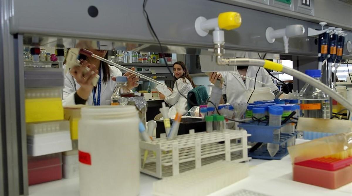 Estudiantes en prácticas en el  Parc de Recerca Biomèdia de la Universitat Pompeu Fabra.