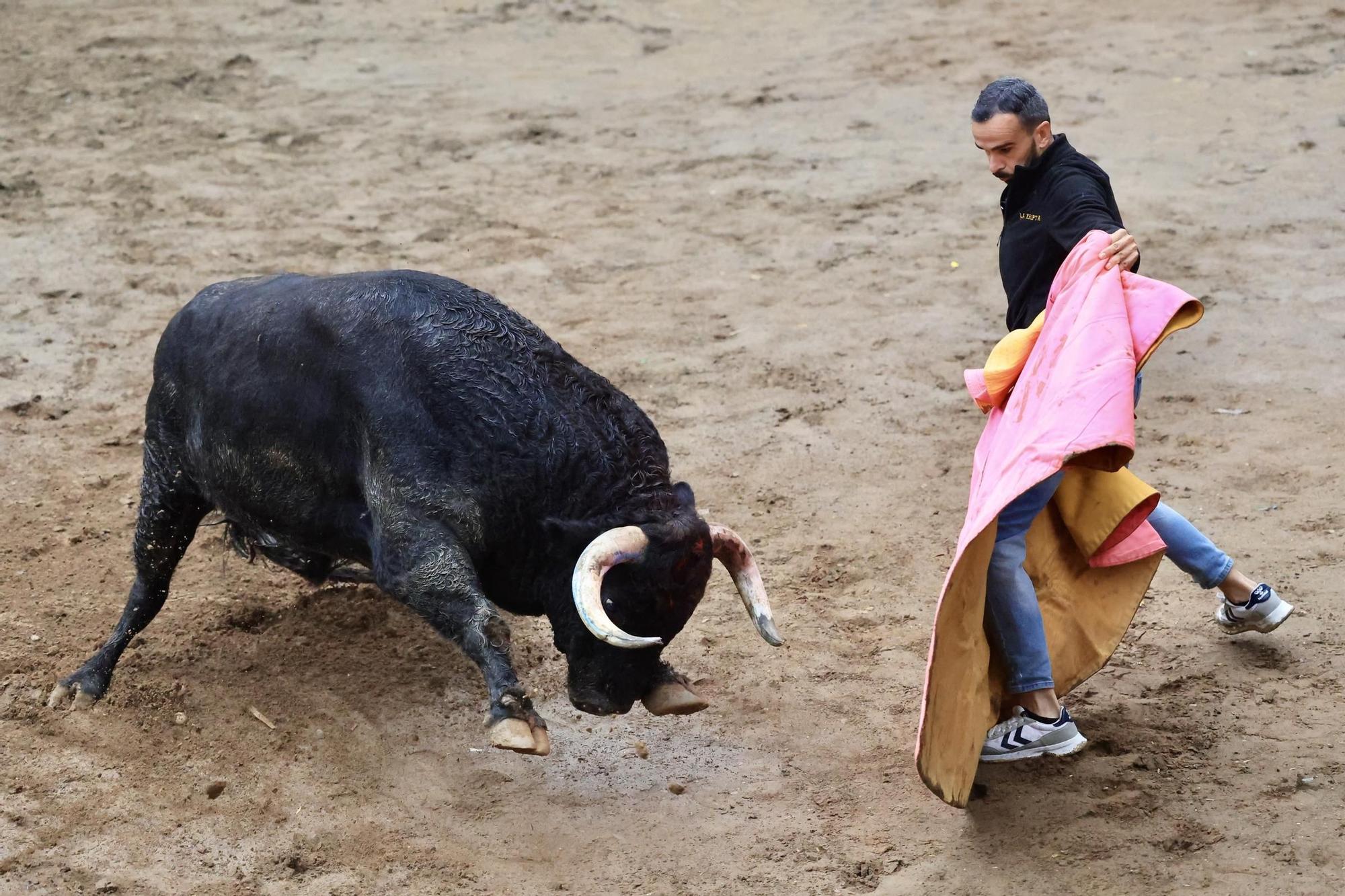 Galería de fotos de la penúltima tarde de toros de las fiestas del Roser en Almassora