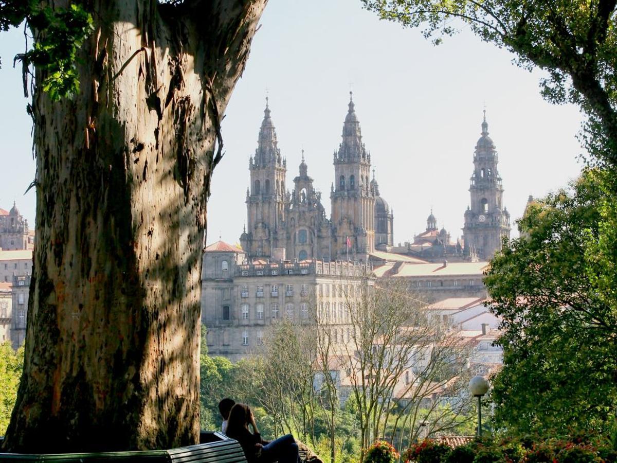 Catedral de Santiago desde el Eucalipto de los Enamorados en el Paseo da Ferradura de la Alameda