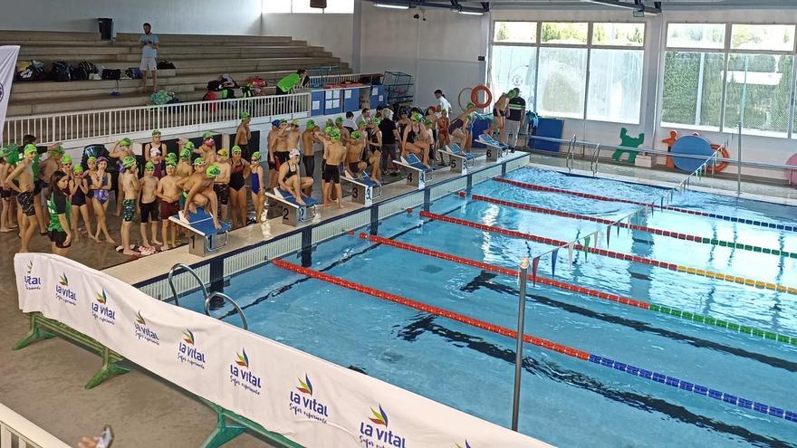 Una competición en la piscina de Gandia