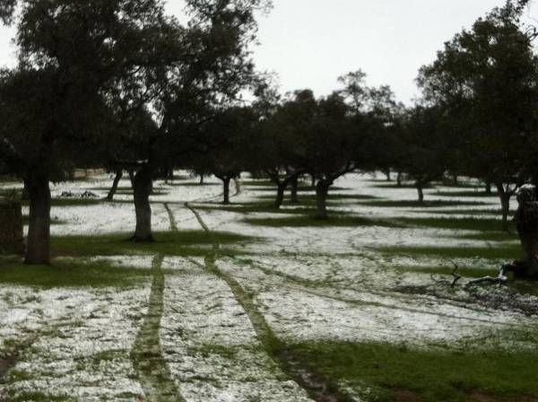 Las fotos de los cordobeses en la nieve