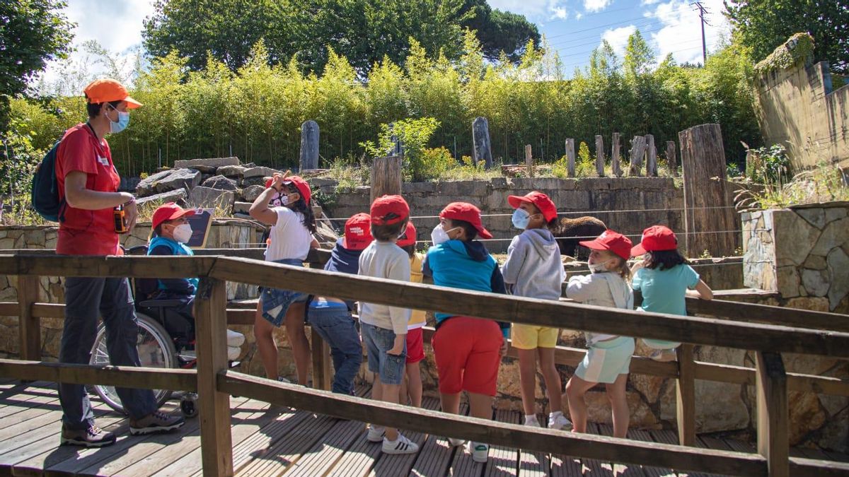 Participantes en el campamento de verano de Vigo de 2021 desarrollado en VigoZoo.