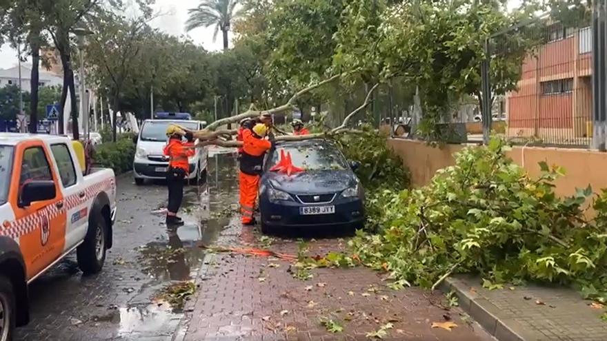 Calvià quiere aumentar el número de voluntarios de Protección Civil