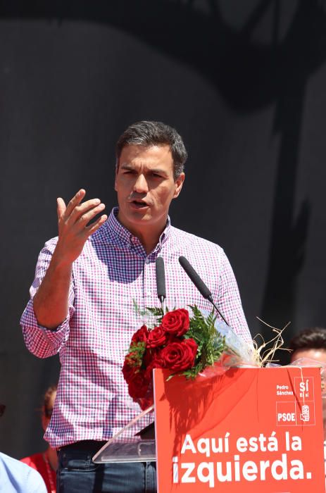 Pedro Sánchez, con los militantes en Cártama