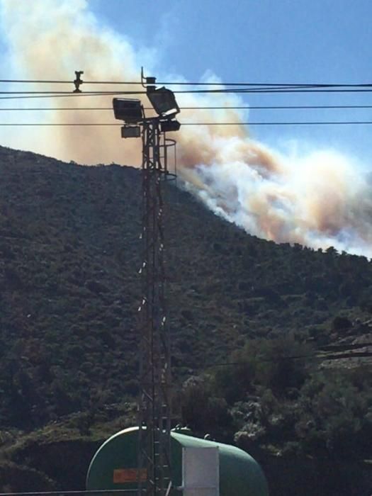 Imatges de la zona de l'incendi