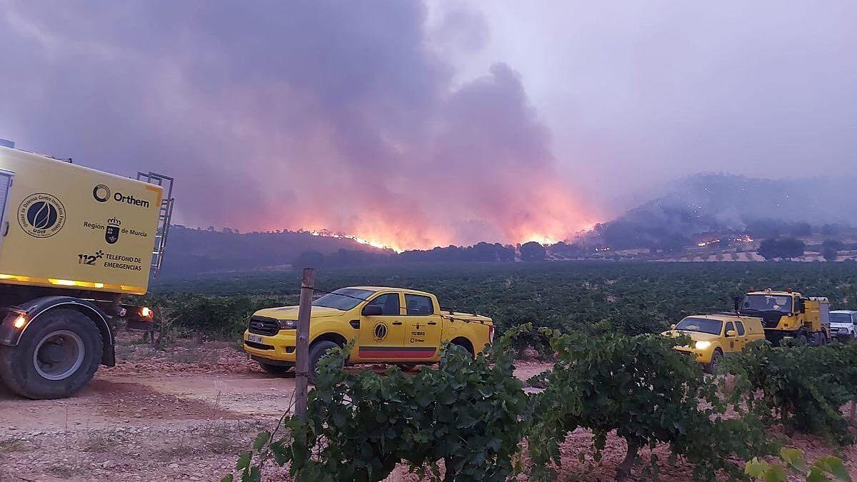 Vehículos de emergencias, en primer plano, mientras las llamas y una gran columna de humo arrasan el monte de Jumilla.