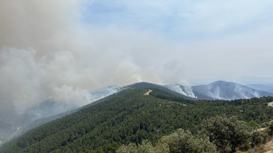 Extremadura ejecuta un proyecto forestal pionero