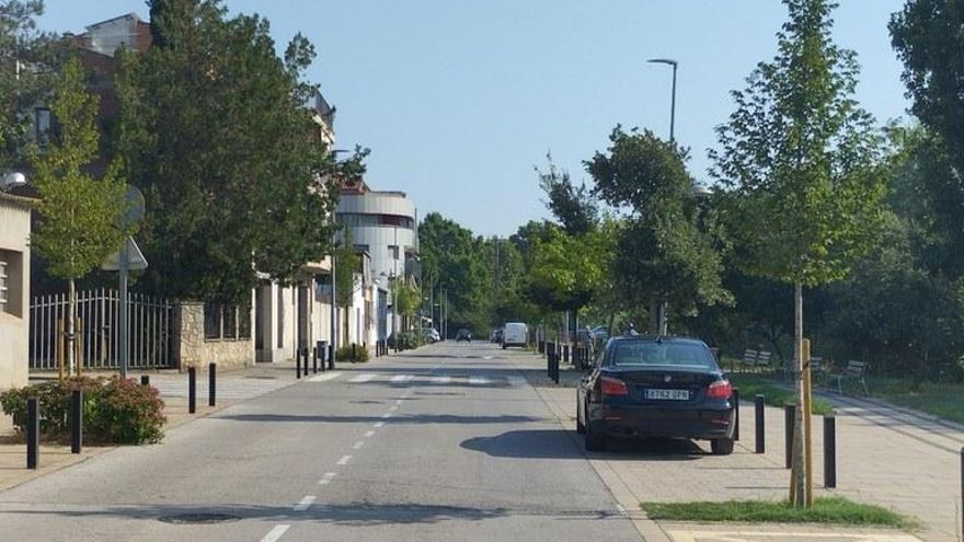 Sant Joan planta arbres en diferents sectors com a mesura pel canvi climàtic