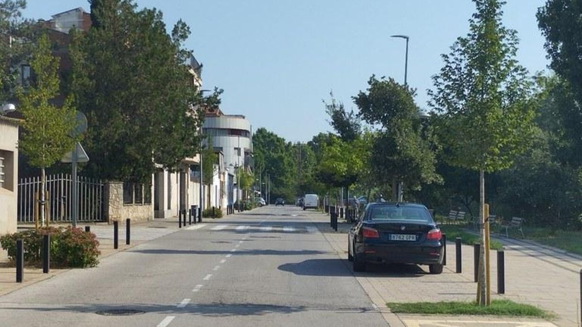 Restitució d'arbres al sector del Passeig del Riu