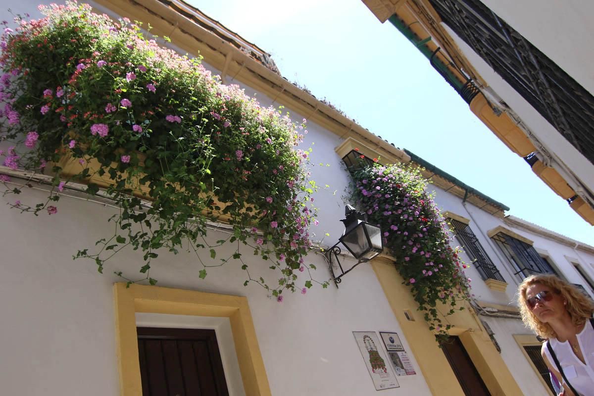 Fotogalería / Concurso municipal de Rejas y Balcones