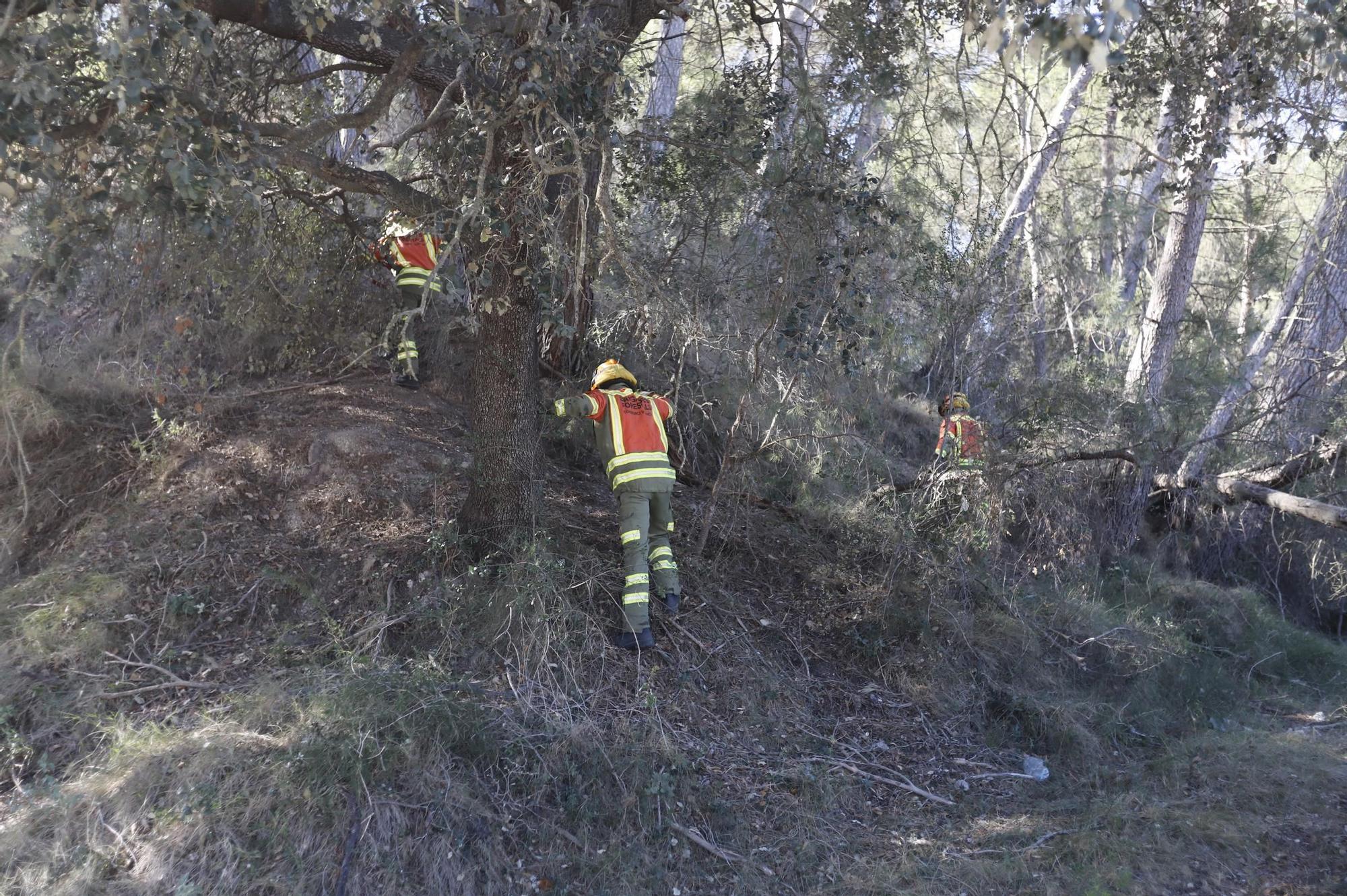 El barranc de la Xara de la Pobla del Duc, arrasado por el fuego