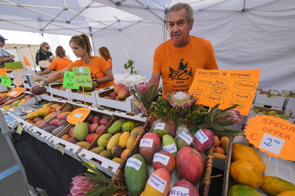 Agricultores moganeros venden mangos de las variedades Tommy Atkins, Osteen, Keitt, Valencia Pride o Heidi en la última edición de la feria.