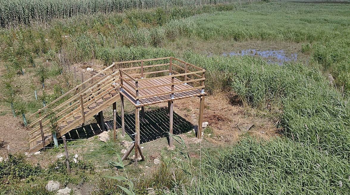 S’Albufera estrena un espacio con plantas para favorecer la presencia de polinizadores