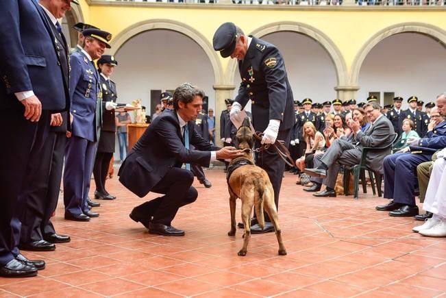 Dia de la Policia