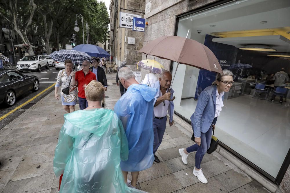 Activan la Operación Nube en Palma