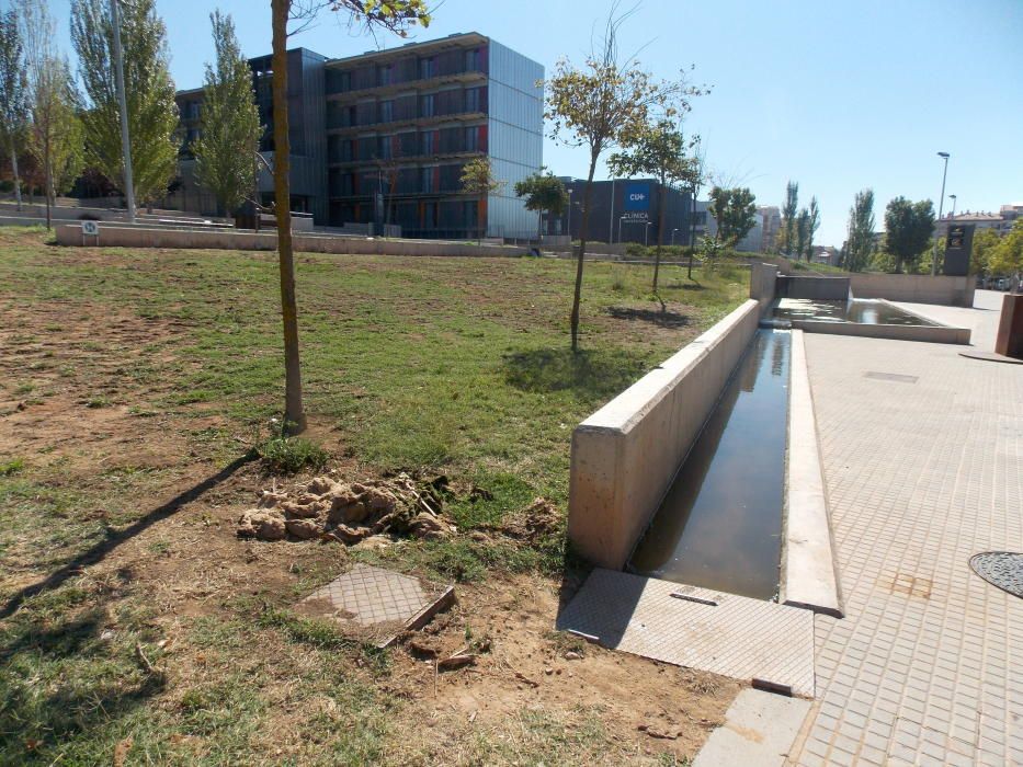 Brutícia i deixadesa al sector universitari de Man