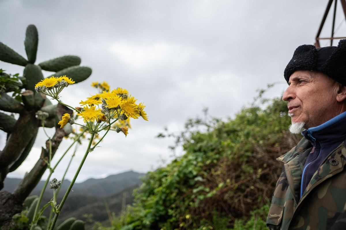 Un viaje a la Anaga profunda: Taborno