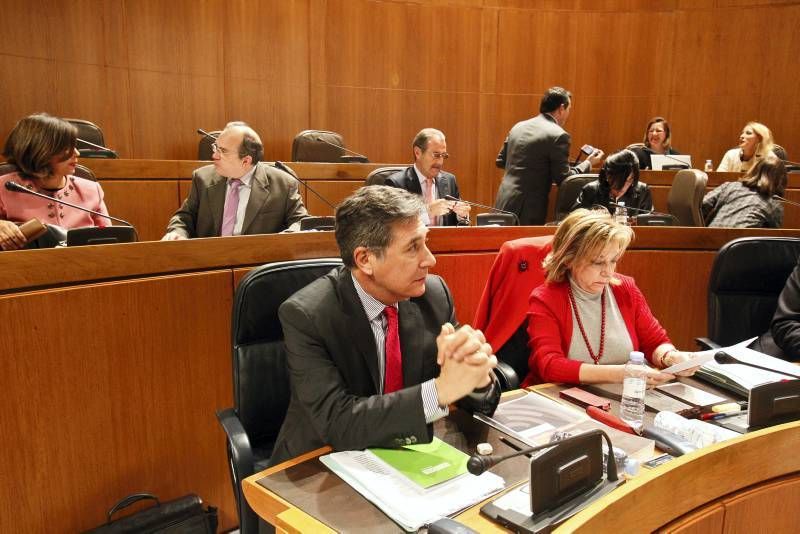 Fotogalería: Pleno Cortes de Aragón