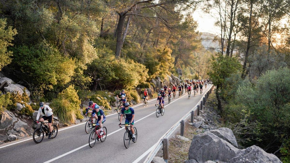 Ciclistas de la 312 Mallorca por las carreteras del norte de la isla.