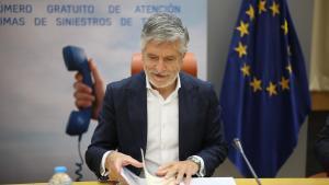 El ministro del Interior, Fernando Grande-Marlaska