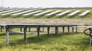 El Supremo impide la instalación de grandes plantas fotovoltaicas en los Llanos de Cáceres